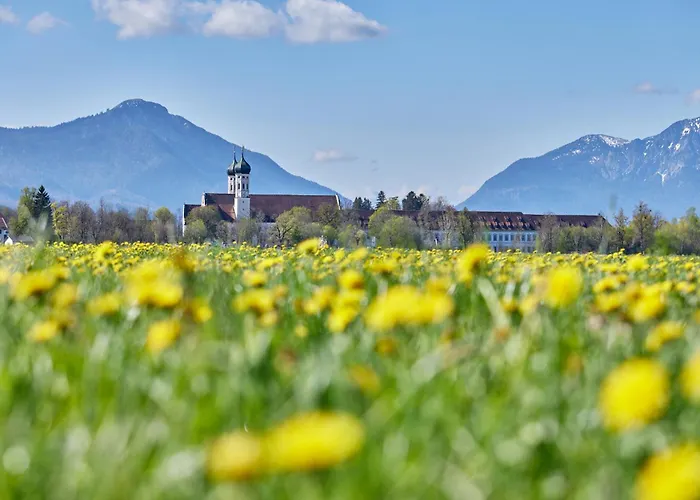 Zentrum Fuer Umwelt Und Kultur - Gaestehaus Und Jugendbildungseinrichtung Im Maierhof
