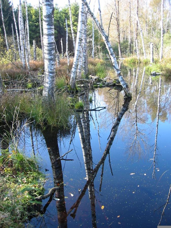 Гостевой дом Zentrum Fuer Umwelt Und Kultur - Gaestehaus Und Jugendbildungseinrichtung Im Maierhof