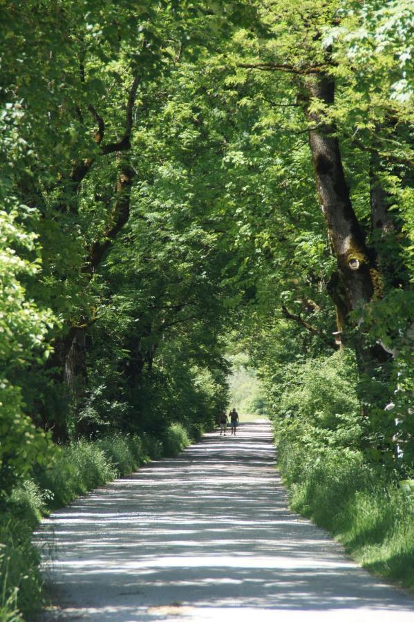Zentrum Für Umwelt Und Kultur - Und Jugendbildungseinrichtung Im Maierhof Benediktbeuern